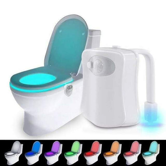 Toilet Light